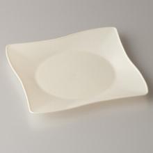 711744 10" CHAMP SQ PROFILPLATE 120/CS