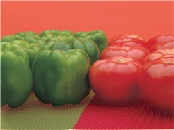 1292-R 30X74 RED CASE LINER